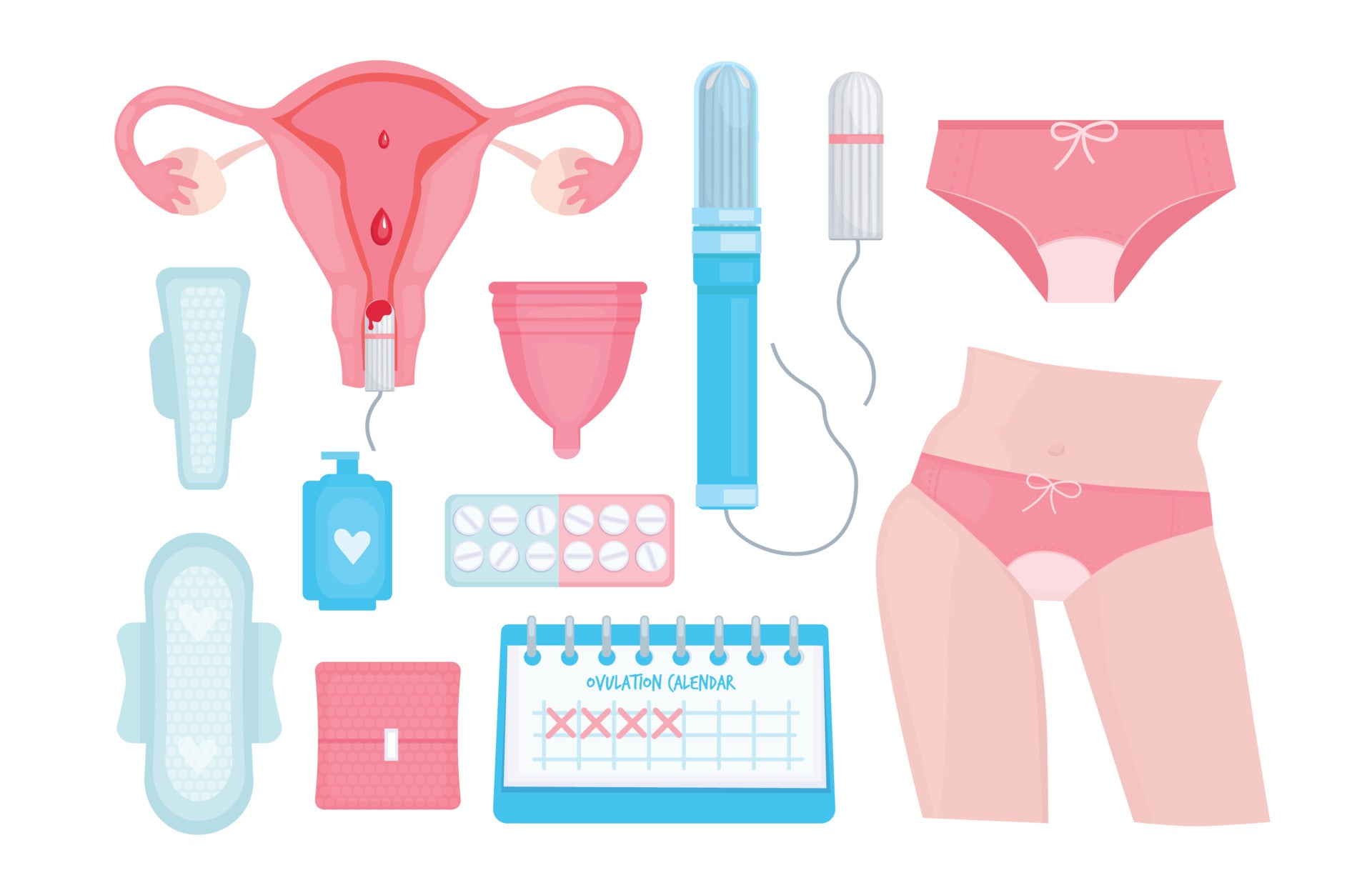 The 4 Phases of the Menstrual Cycle Kt’s Period Guide for Your Teen