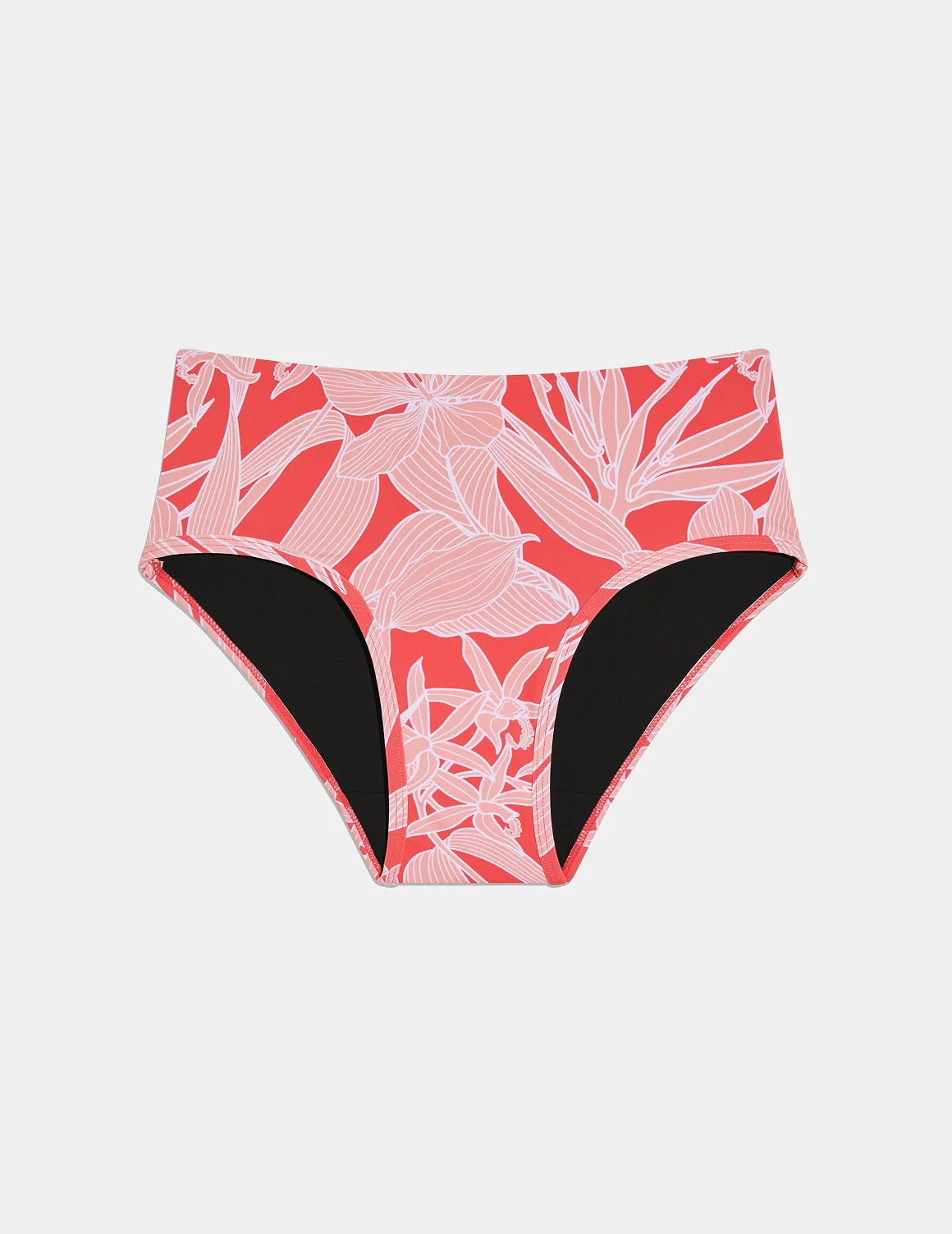 | Pink Hibiscus