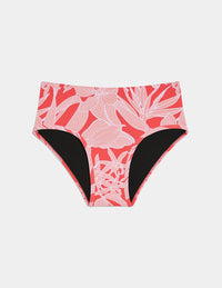 | Pink Hibiscus