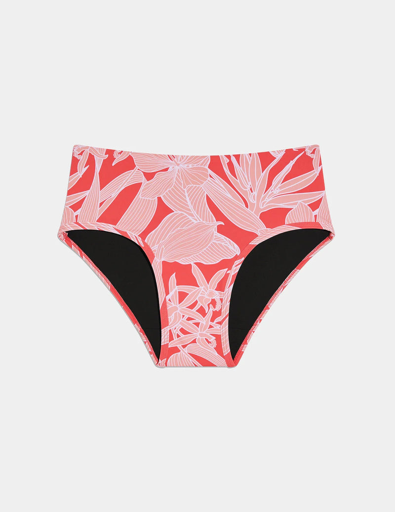 | Pink Hibiscus