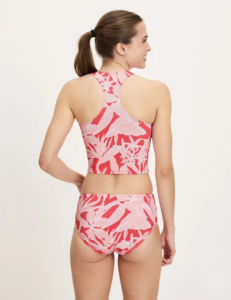 | Pink Hibiscus