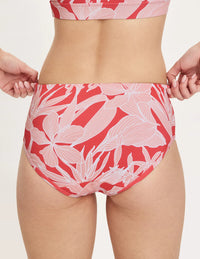 | Pink Hibiscus