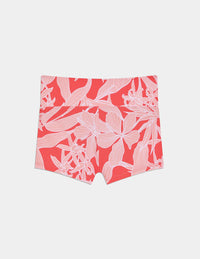 | Pink Hibiscus